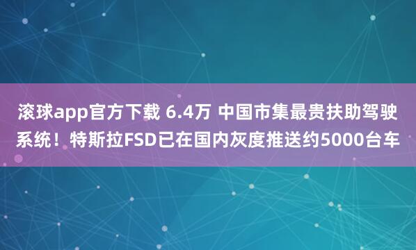 滚球app官方下载 6.4万 中国市集最贵扶助驾驶系统！特斯拉FSD已在国内灰度推送约5000台车