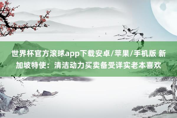 世界杯官方滚球app下载安卓/苹果/手机版 新加坡特使：清洁动力买卖备受详实老本喜欢