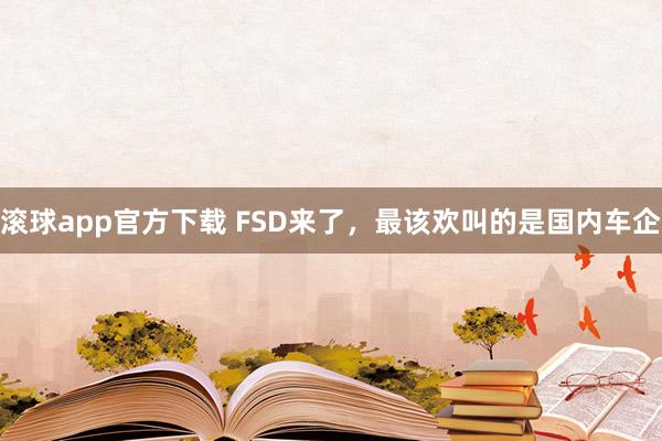 滚球app官方下载 FSD来了，最该欢叫的是国内车企