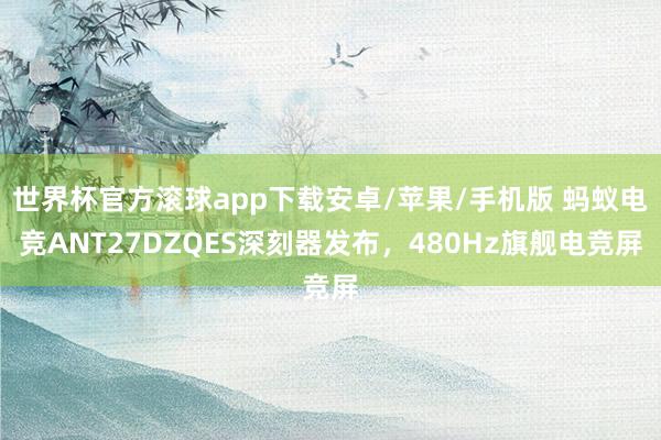 世界杯官方滚球app下载安卓/苹果/手机版 蚂蚁电竞ANT27DZQES深刻器发布，480Hz旗舰电竞屏