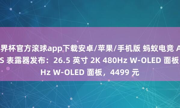 世界杯官方滚球app下载安卓/苹果/手机版 蚂蚁电竞 ANT27DZQES 表露器发布：26.5 英寸 2K 480Hz W-OLED 面板，4499 元