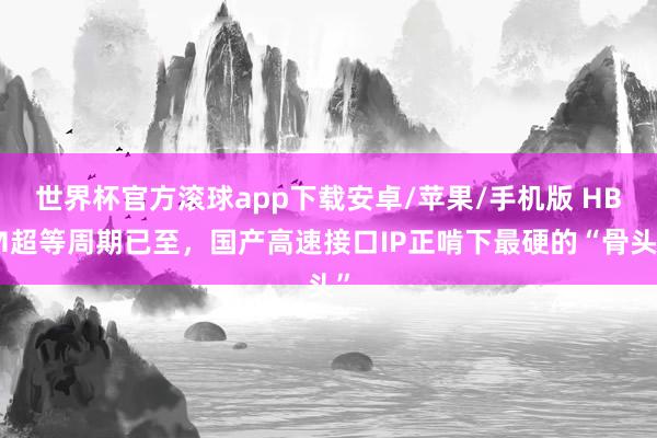 世界杯官方滚球app下载安卓/苹果/手机版 HBM超等周期已至，国产高速接口IP正啃下最硬的“骨头”