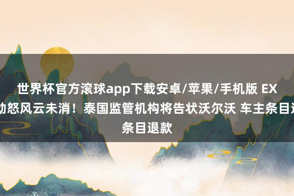 世界杯官方滚球app下载安卓/苹果/手机版 EX30动怒风云未消！泰国监管机构将告状沃尔沃 车主条目退款