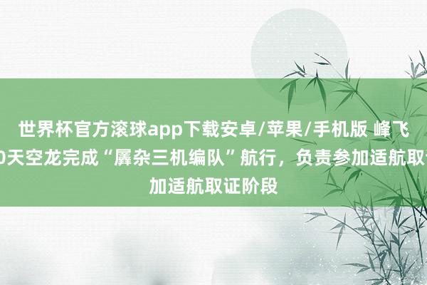世界杯官方滚球app下载安卓/苹果/手机版 峰飞V5000天空龙完成“羼杂三机编队”航行，负责参加适航取证阶段