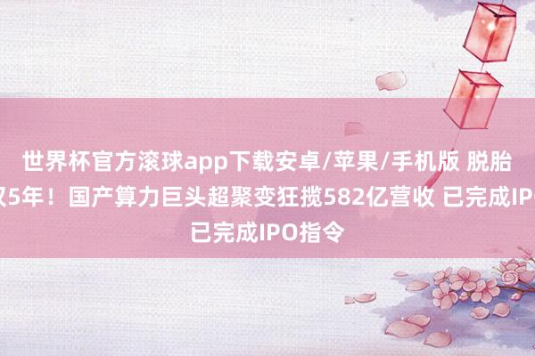 世界杯官方滚球app下载安卓/苹果/手机版 脱胎华为仅5年！国产算力巨头超聚变狂揽582亿营收 已完成IPO指令