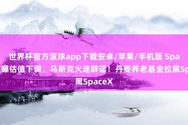 世界杯官方滚球app下载安卓/苹果/手机版 SpaceX被曝估值下调，马斯克火速辟谣！丹麦养老基金拉黑SpaceX