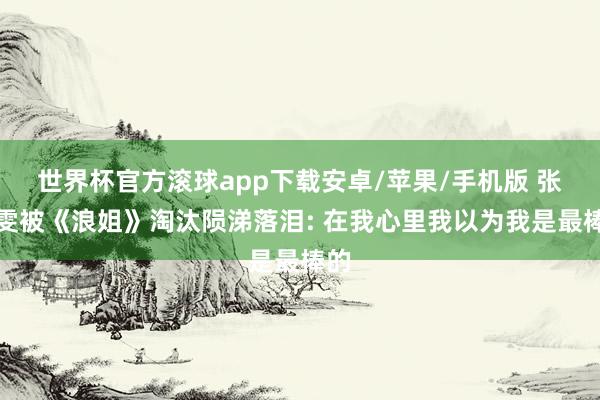 世界杯官方滚球app下载安卓/苹果/手机版 张慧雯被《浪姐》淘汰陨涕落泪: 在我心里我以为我是最棒的