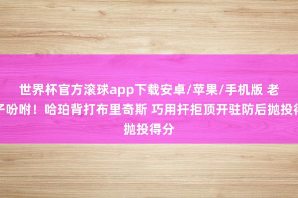 世界杯官方滚球app下载安卓/苹果/手机版 老油子吩咐！哈珀背打布里奇斯 巧用扞拒顶开驻防后抛投得分