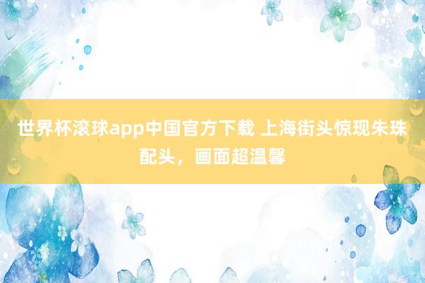 世界杯滚球app中国官方下载 上海街头惊现朱珠配头，画面超温馨