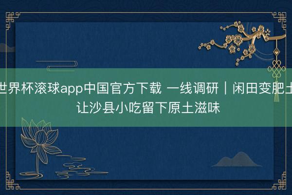世界杯滚球app中国官方下载 一线调研｜闲田变肥土 让沙县小吃留下原土滋味