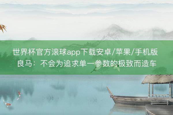 世界杯官方滚球app下载安卓/苹果/手机版 良马：不会为追求单一参数的极致而造车