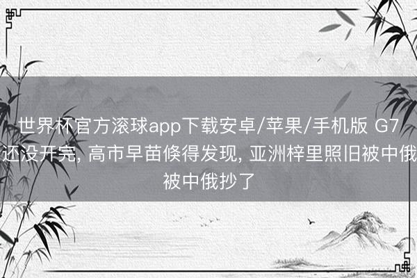 世界杯官方滚球app下载安卓/苹果/手机版 G7峰会还没开完， 高市早苗倏得发现， 亚洲梓里照旧被中俄抄了