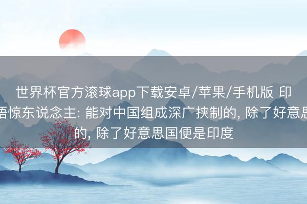 世界杯官方滚球app下载安卓/苹果/手机版 印度前大使一语惊东说念主: 能对中国组成深广挟制的， 除了好意思国便是印度