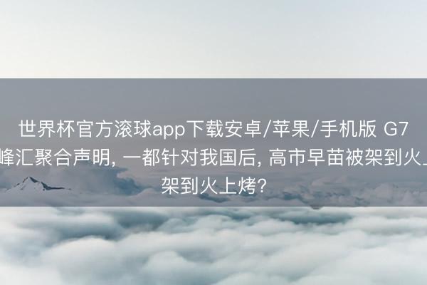 世界杯官方滚球app下载安卓/苹果/手机版 G7法国峰汇聚合声明， 一都针对我国后， 高市早苗被架到火上烤?